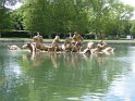 2019-06-06 14-20-21 Les jardins FGn